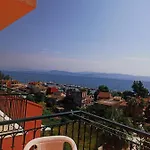 Corfu Sunflower