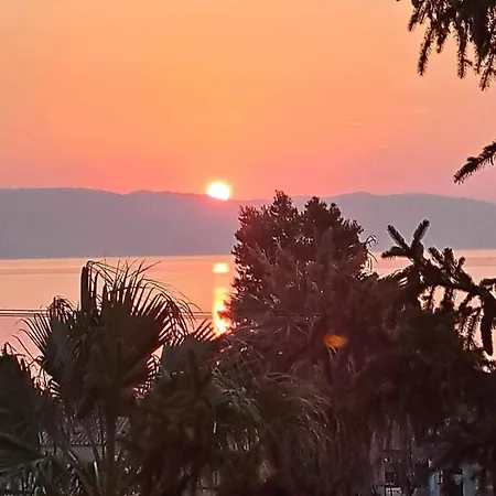 Corfu Sunflower アパート