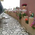 Corfu Sunflower
