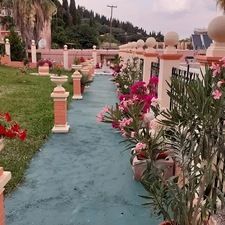 Corfu Sunflower * Бенитсес