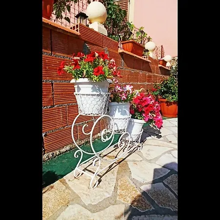 Corfu Sunflower Апартаменты