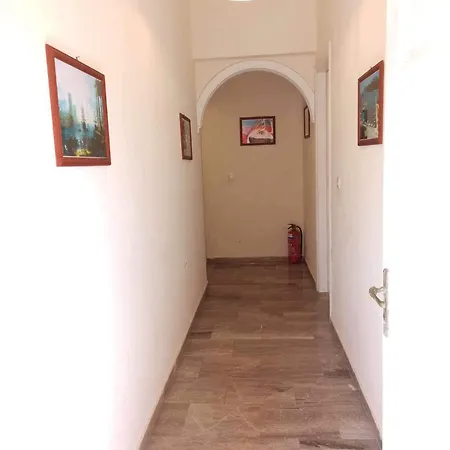 Corfu Sunflower * Бенитсес